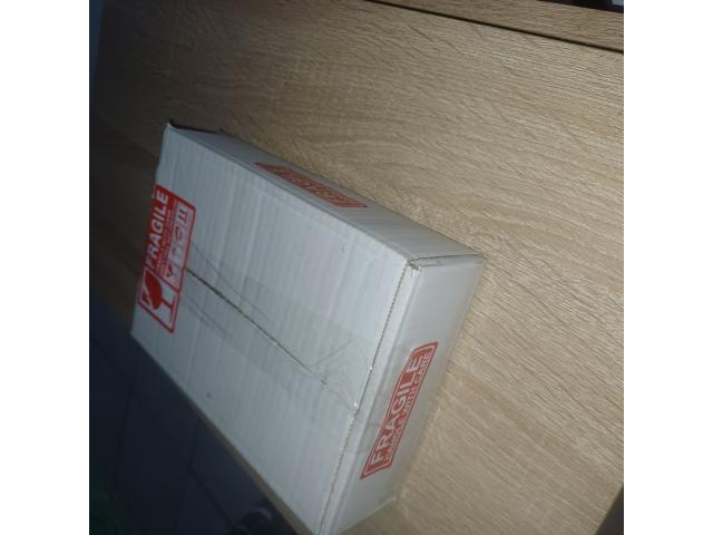 Photo cailles de chine fécondés image 6/6