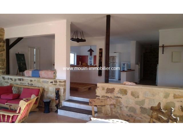 Photo Dar Aziz ef AV716 Hammamet Birbouregba image 6/6