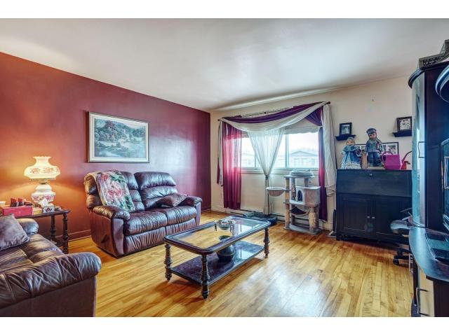 Photo Duplex avec garage et possibilité de bachelor* à Anjou (Montréal, Québec) image 6/6
