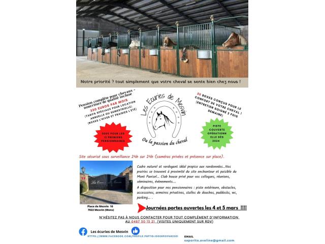 Photo Ecuries de Mesvin  Location de boxes- pension complète pour chevaux.. image 6/6