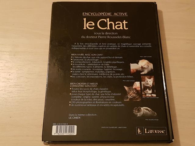 Photo encyclopédie active le chat image 6/6