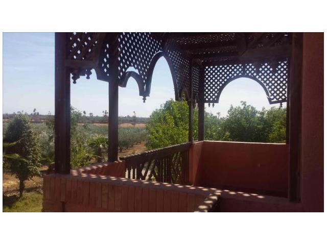 Photo ferme 4 hectares titrés sur la Route de fes image 6/6