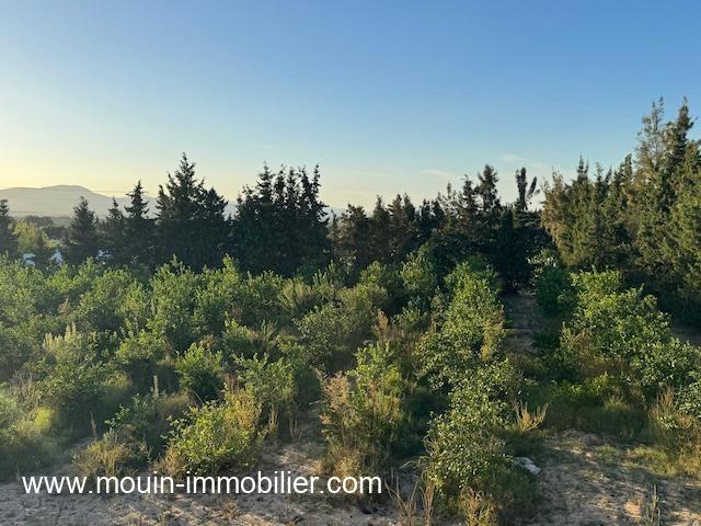 Photo FERME ASIL Borj Hfaiedh Beni Oueil T1206 image 6/6