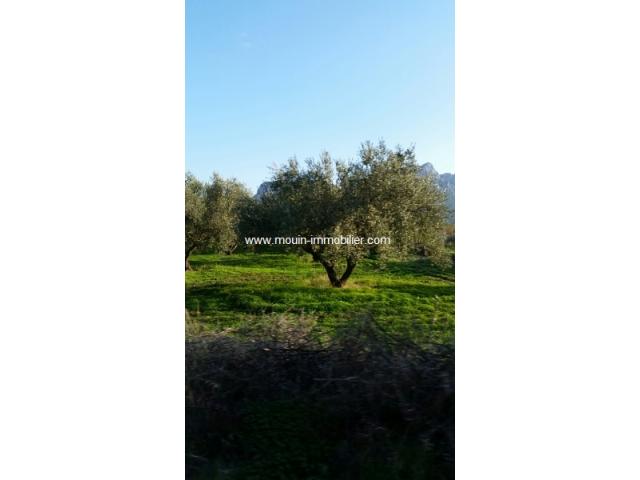 Photo Ferme La Colombe T 465 Mornag image 6/6