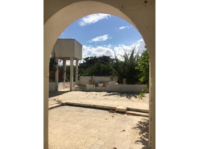 Photo FERME LES BOUGAINVILLIER Hammamet T515 image 6/6