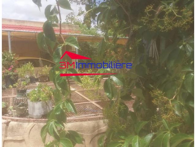 Photo Ferme Menzel Bouzelfa 124/17 image 6/6