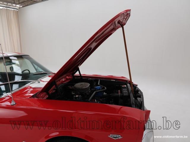 Photo Ford Mustang Fastback V8 '65 CH6485 image 6/6