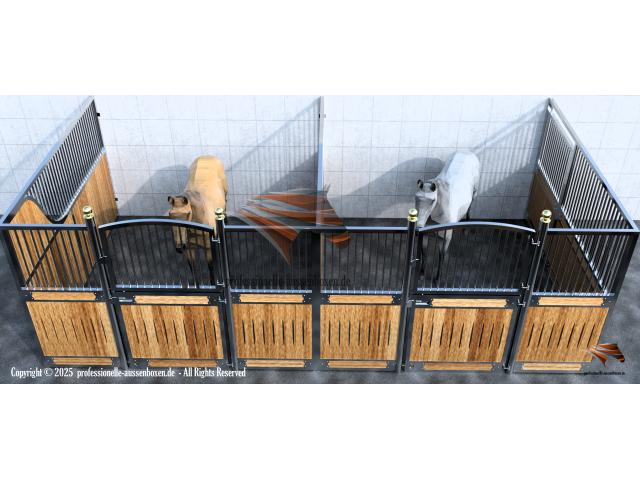 Photo Fronts de boxes - Boxes pour chevaux et Boxes intérieur image 6/6