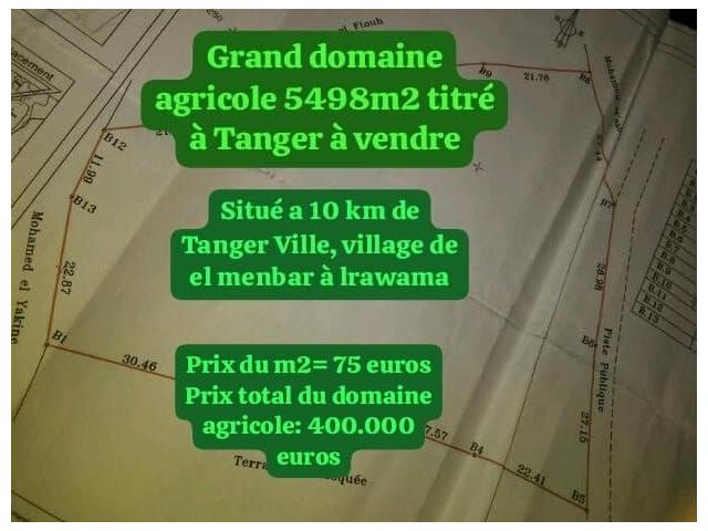 Photo Grand Terrain Titré et immatriculé à Tanger 5498 m2 à vendre image 6/6