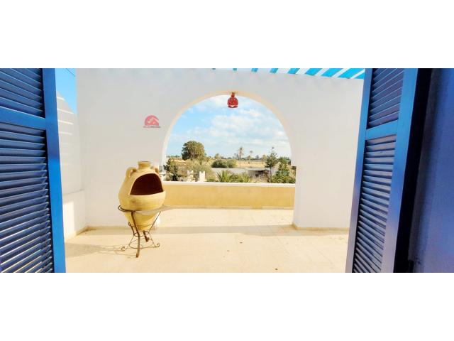 Photo GRANDE PROPRIÉTÉ À DJERBA ARKOU ZA - RÉF V668 image 6/6