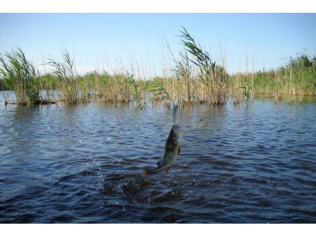 Photo Investment 736ha land for tourism, aquaculture and agriculture in the Danube Delta, Romania, Europe. image 6/6
