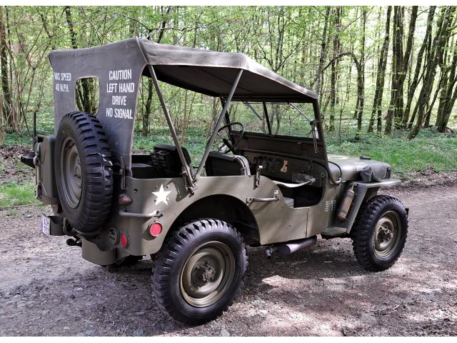 Photo Jeep Hotchkiss (willys) M201 image 6/6