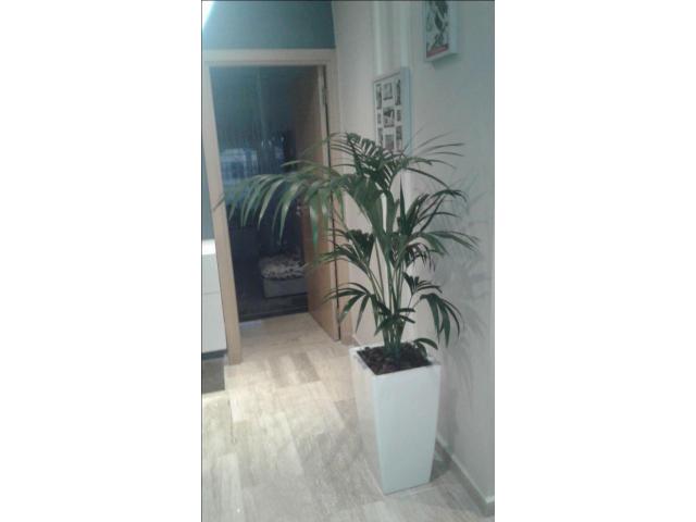 Photo Jolie appartement à nassim2 image 6/6