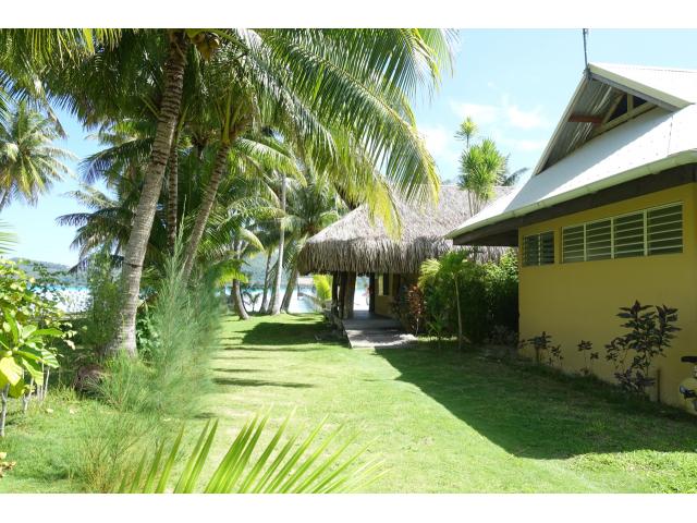 Photo Le terrain 37000 m2 avec boutique hôtel en Polynésie Française Bora Bora image 6/6