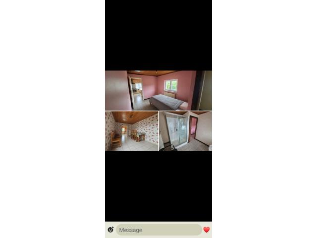 Photo Maison 4 façades a vendre  Franière image 6/6