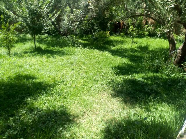 Photo maison en location image 6/6