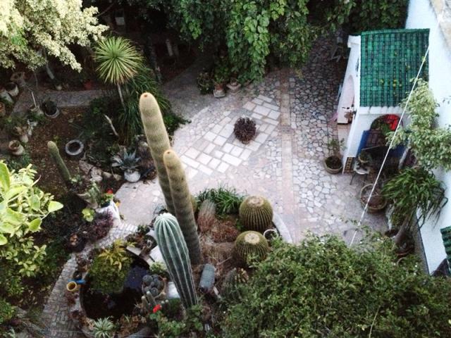 Photo maison jolie AV162 hammamet image 6/6