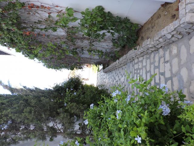 Photo maison leila AL1748 birbouregba hammamet image 6/6