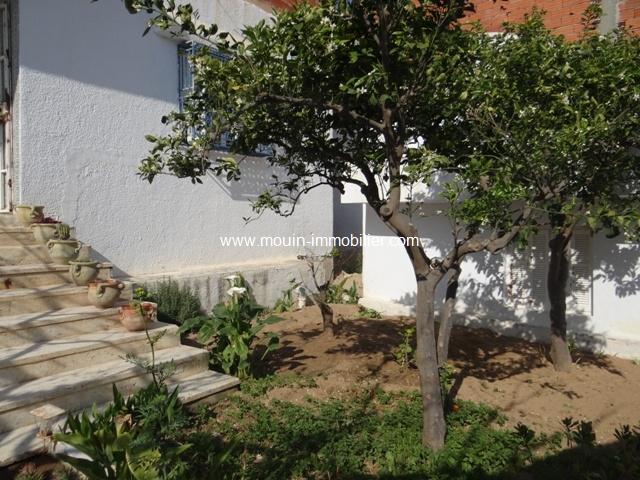 Photo Maison Louna ref AL1261 Hammamet image 6/6