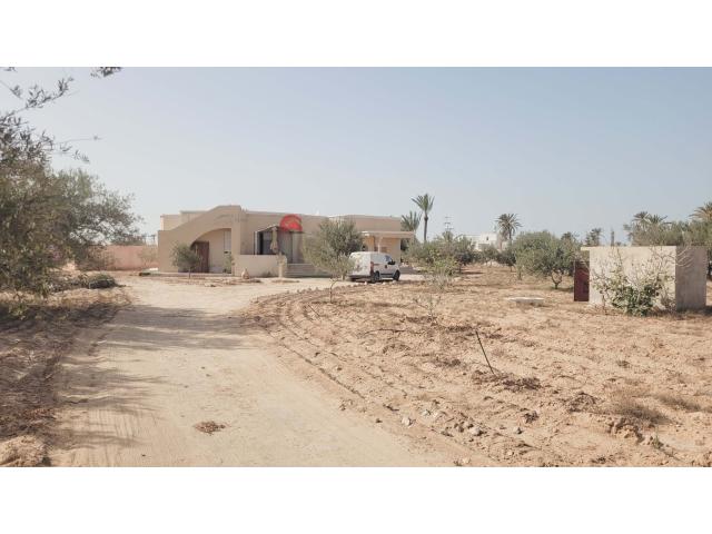 Photo MAISON MEUBLÉE À SEDGHIANE DJERBA - RÉF L764 image 6/6