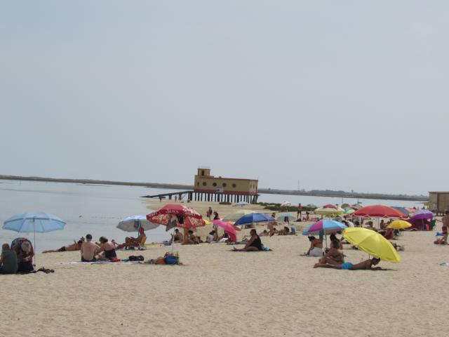 Photo maison pres de  la mer  en zone urbanizable image 6/6