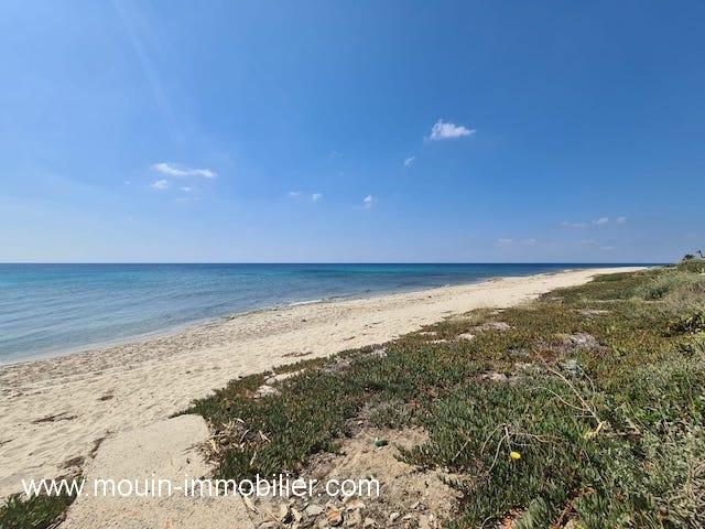 Photo MAISON ROSETTE El Maamoura AV1533 image 6/6