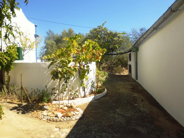 Photo Maison typique, 2 terrains, à Santo Estevao, Tavira, Algarve image 6/6