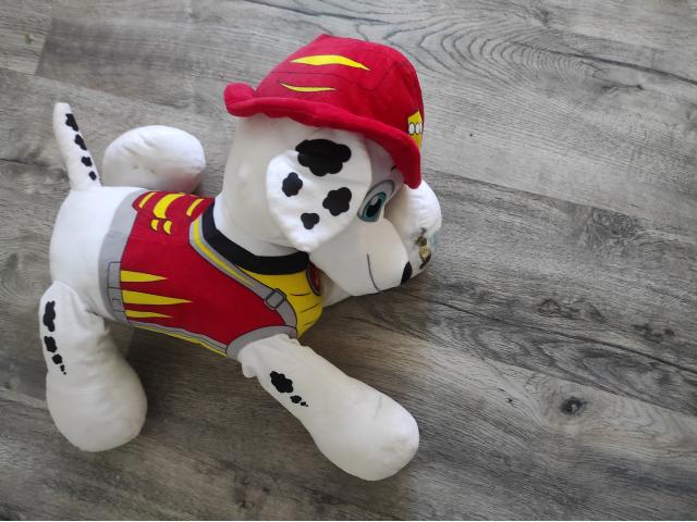 Photo Nounours de toute sorte et de taille image 6/6