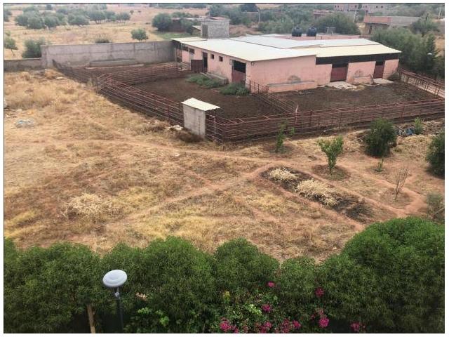 Photo olie petite ferme de 5200 M²  en vente sur la route de ait ourir. image 6/6
