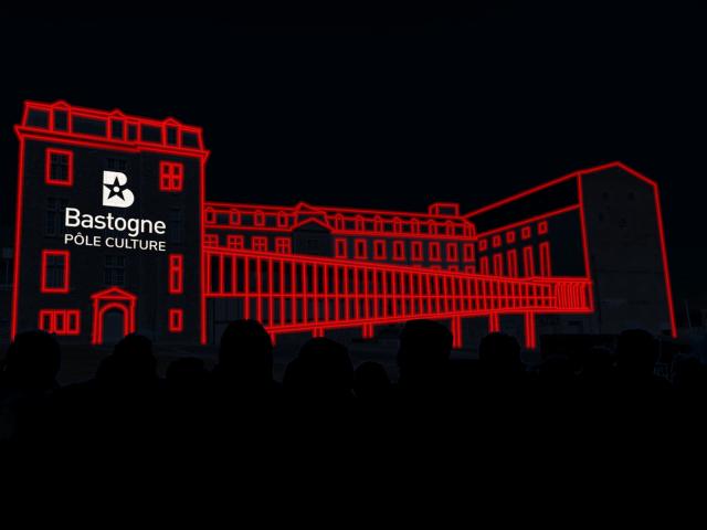 Photo Pôle Lumière - Spectacle monumental alliant artistes et vidéo-mapping image 6/6