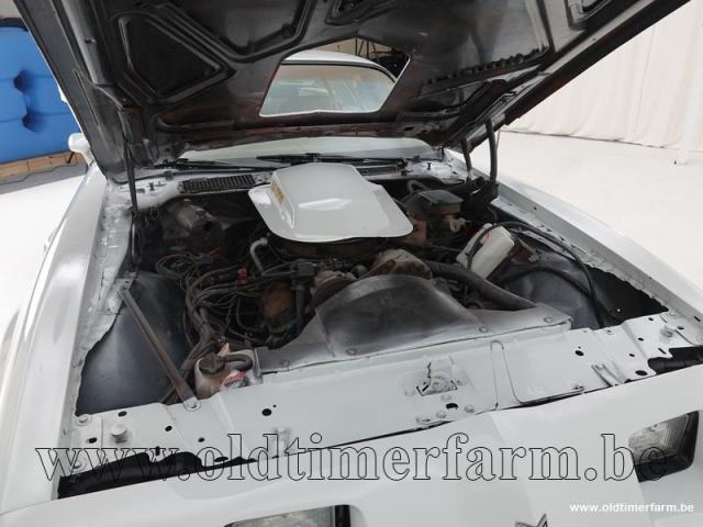 Photo Pontiac Firebird II Trans AM '81 CH8494 image 6/6