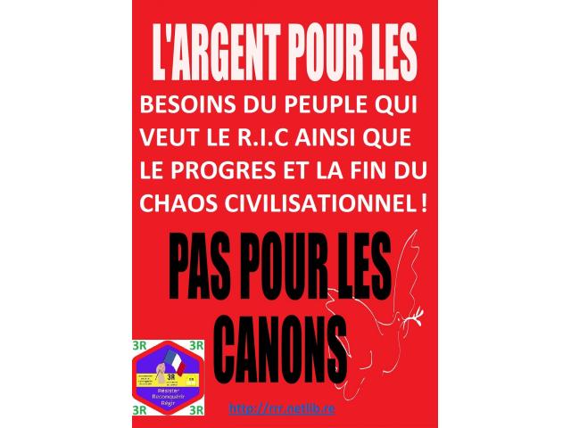 Photo Rassemblement (& expos) : Oui à la paix ! Non à Macron ! image 6/6
