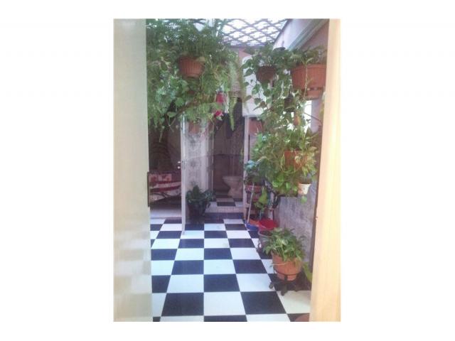 Photo Ravissant appartement image 6/6