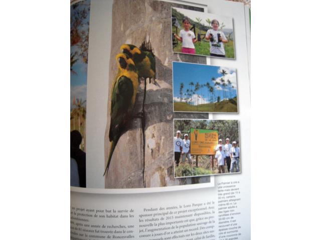 Photo Revue sur les PSITTACULAS les Lorius TRIMESTRIELLE ( mutations colorées etc documentations, revue 90 image 6/6