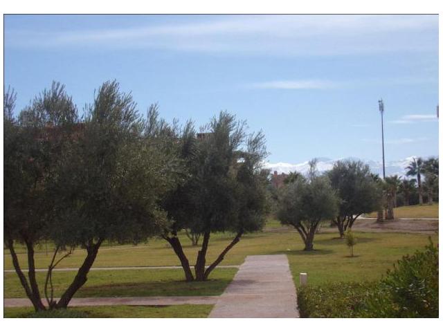Photo Spacieux appart meublé ou vide R-jardin image 6/6
