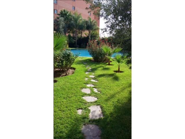 Photo Studio vc belle terrasse piscine Hivernage image 6/6