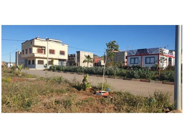 Photo TERAIN 3000 DH M2 A LOTISSEMENT NASSIM image 6/6