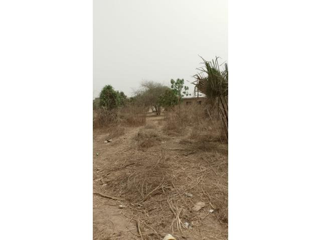 Photo Terrain de 1200 mètres carrés à vendre à Saly, Sénégal image 6/6