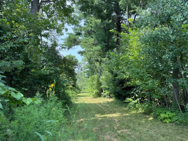 Photo Terrain subdivisible 61 711pc Chemin Pincourt Mascouche (Quebec) image 6/6