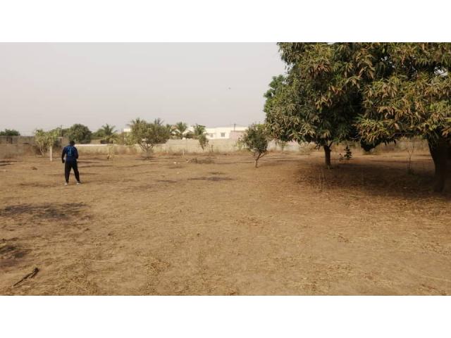 Photo Terrains de 300 mètres carrés délibération à Gandigal image 6/6