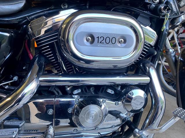 Photo Très belle Harkey-Davidson XL1200C 100ème anniversaire image 6/6