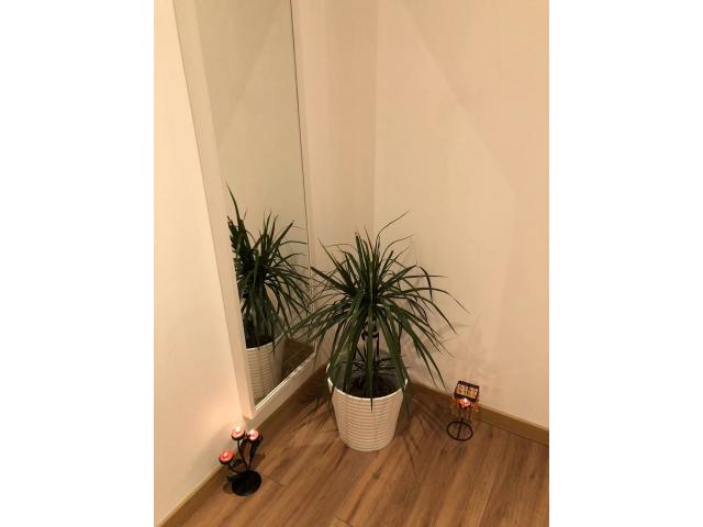 Photo Une détente absolue image 6/6