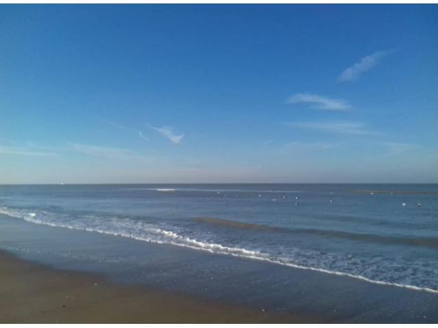 Photo Vacance a la mer de haan image 6/6