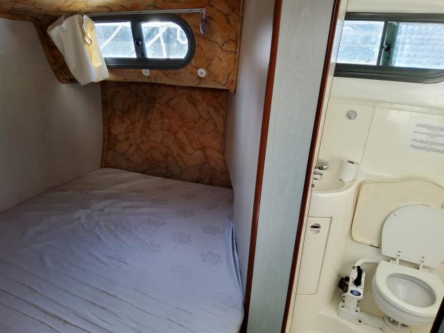 Photo VEDETTE NICOLS 1010 image 6/6