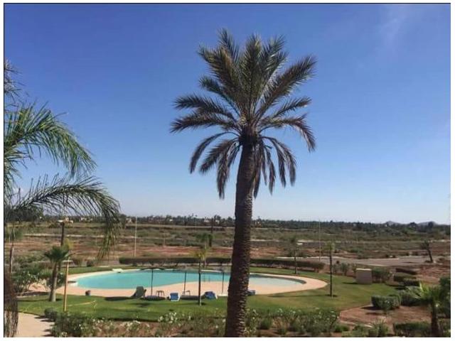 Photo vente magnifique appartement 80 M² palmeraie image 6/6