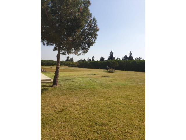 Photo VENTE VILLA DE LUXE 1 HECTARE A LABISSA BOUSKOURA image 6/6