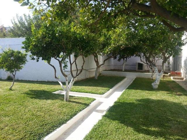 Photo villa annabella AV381 hammamet nord image 6/6