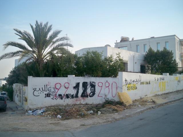 Photo villa hammouda AV827 menzah7 tunis image 6/6