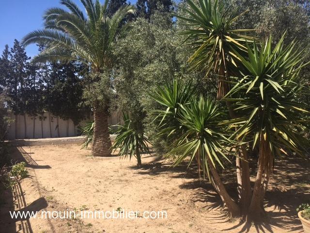 Photo VILLA JEAN CLAUDE Hammamet Nord AV726 image 6/6