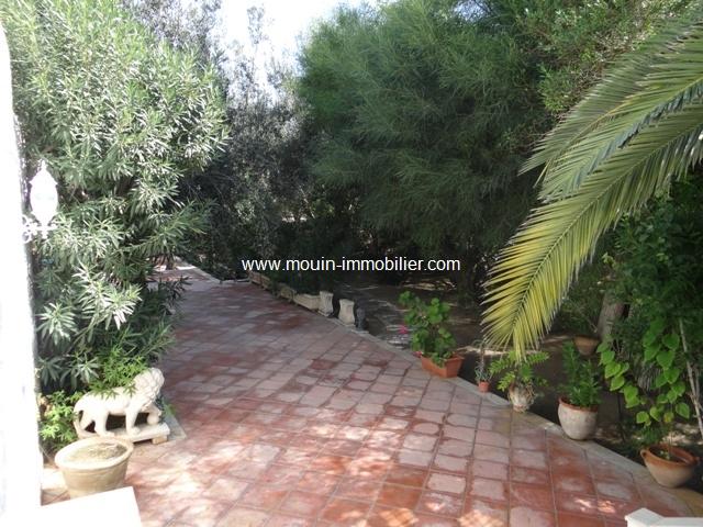 Photo villa l'olivier AL1173 zone théatre hammamet image 6/6
